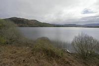 Cjp_2017-04-12_114350.jpg
