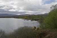 Cjp_2017-04-12_114400.jpg