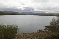 Cjp_2017-04-12_114824.jpg