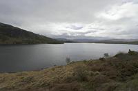 Cjp_2017-04-12_114918.jpg