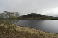 Cjp_2017-04-12_114934.jpg