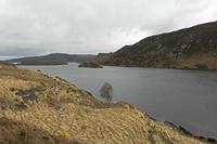 Cjp_2017-04-12_114936.jpg