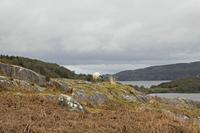 Cjp_2017-04-12_115206.jpg