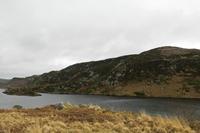 Cjp_2017-04-12_115222.jpg