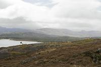 Cjp_2017-04-12_115400.jpg