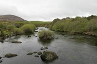 Cjp_2017-04-12_120854.jpg