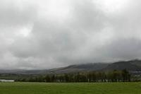 Cjp_2017-04-12_125846.jpg