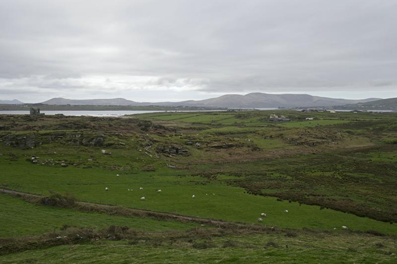 Cjp_2017-04-12_141626.jpg