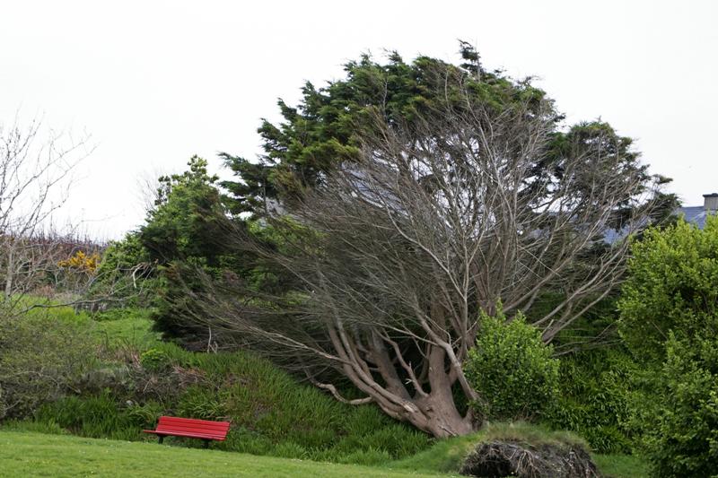 Cjp_2017-04-12_153914.jpg