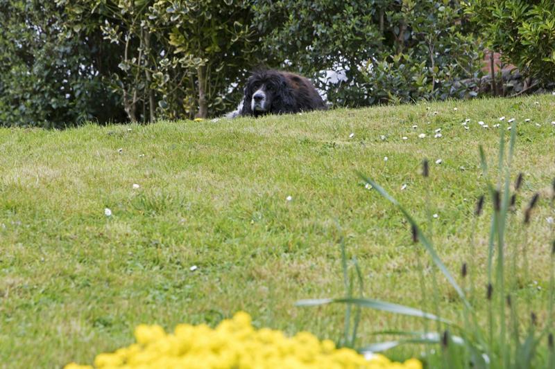 Cjp_2017-04-12_154718.jpg