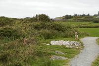 Cjp_2017-04-12_135804.jpg
