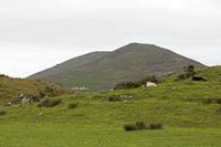 Cjp_2017-04-12_140332.jpg