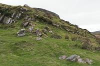 Cjp_2017-04-12_141016.jpg