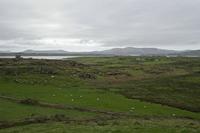 Cjp_2017-04-12_141626.jpg