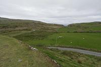 Cjp_2017-04-12_141822.jpg