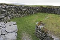 Cjp_2017-04-12_142212.jpg