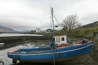 Cjp_2017-04-12_145330.jpg