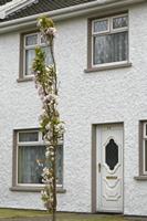 Cjp_2017-04-12_150338.jpg