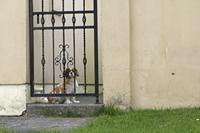 Cjp_2017-04-12_150556.jpg