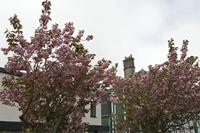 Cjp_2017-04-12_152432.jpg