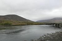Cjp_2017-04-12_153758.jpg