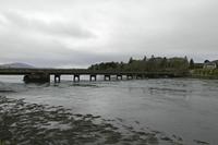 Cjp_2017-04-12_153808.jpg