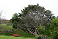 Cjp_2017-04-12_153914.jpg