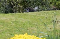 Cjp_2017-04-12_154718.jpg