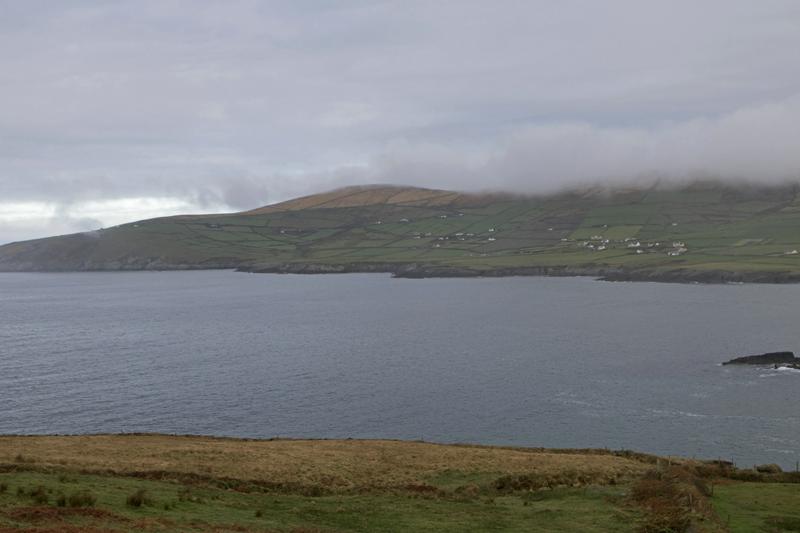 Cjp_2017-04-13_071146.jpg