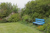 Cjp_2017-04-13_061250.jpg