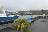 Cjp_2017-04-13_061836.jpg