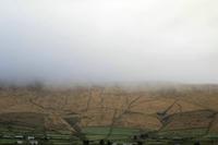 Cjp_2017-04-13_063102.jpg