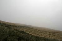 Cjp_2017-04-13_065414.jpg