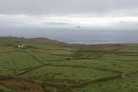 Cjp_2017-04-13_071628.jpg