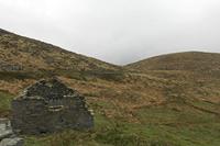 Cjp_2017-04-13_071836.jpg