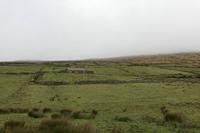 Cjp_2017-04-13_072038.jpg