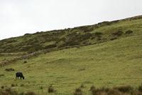 Cjp_2017-04-13_072048.jpg