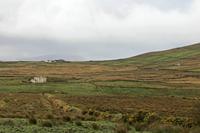 Cjp_2017-04-13_072616.jpg