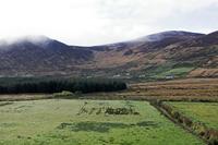 Cjp_2017-04-13_080706.jpg