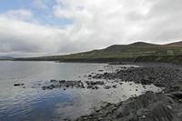 Cjp_2017-04-13_084010.jpg