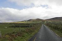 Cjp_2017-04-13_084506.jpg