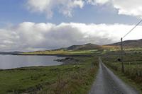 Cjp_2017-04-13_084938.jpg