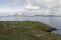Cjp_2017-04-13_085542.jpg