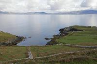 Cjp_2017-04-13_085608.jpg