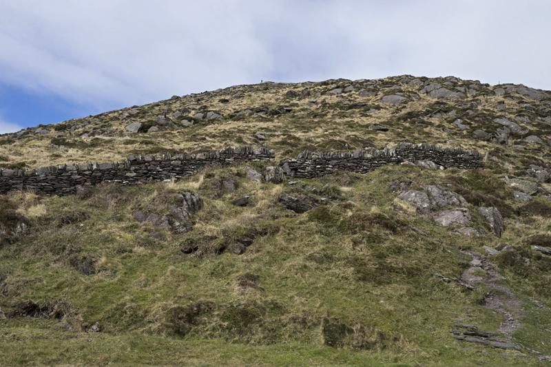 Cjp_2017-04-13_115400.jpg
