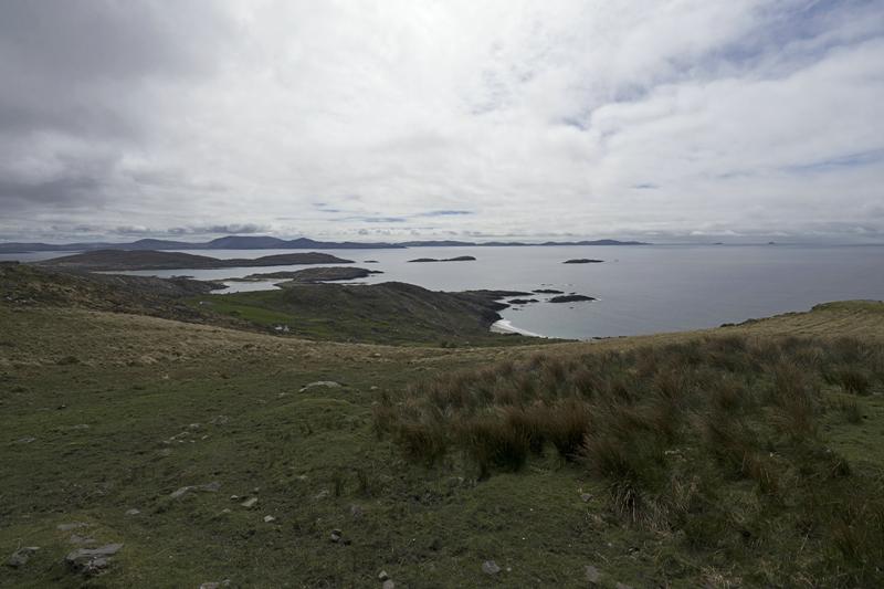 Cjp_2017-04-13_115458.jpg
