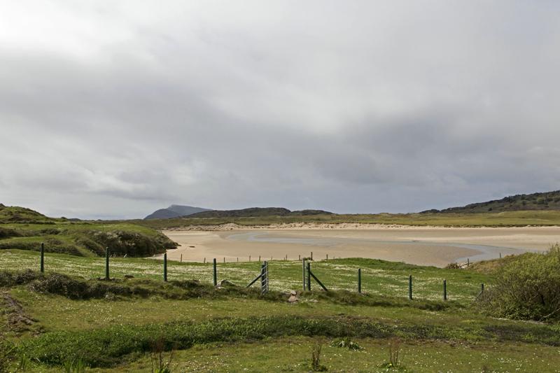 Cjp_2017-04-13_130154.jpg