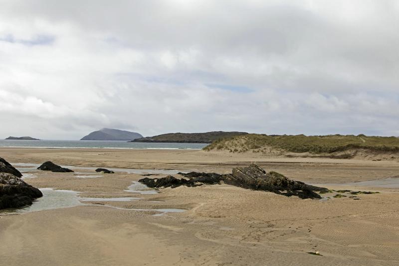 Cjp_2017-04-13_130836.jpg