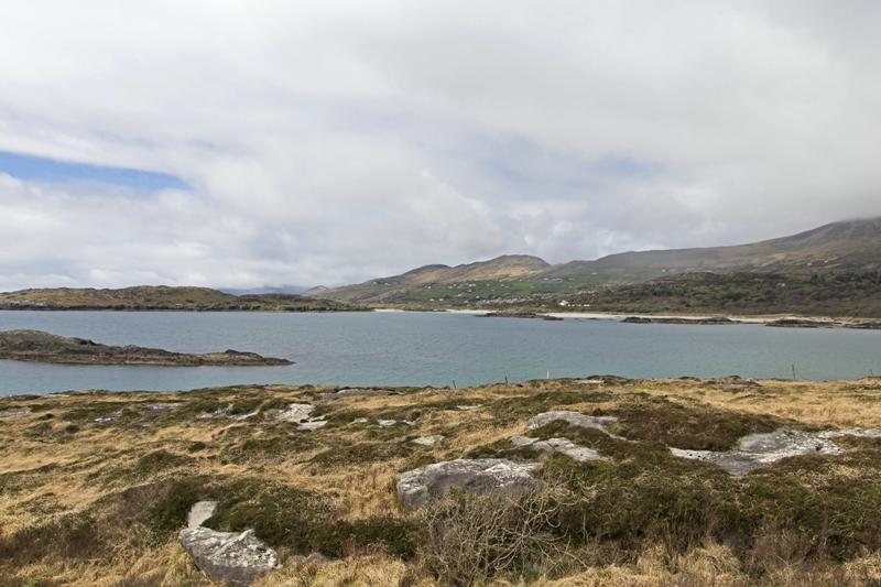 Cjp_2017-04-13_132004.jpg
