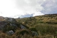 Cjp_2017-04-13_090534.jpg